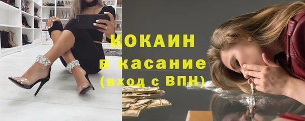 твердый Александровское