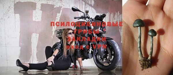 амф Алзамай