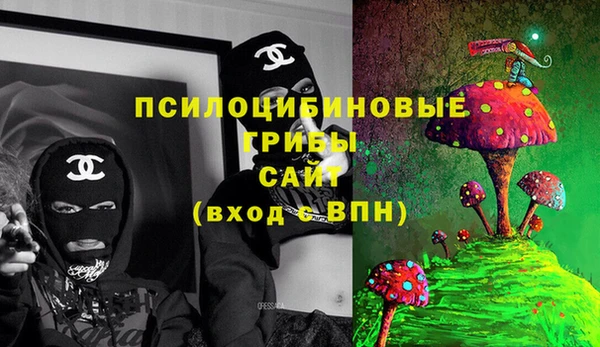 соль ск Абаза