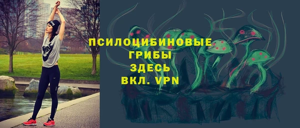 PSILOCYBIN Арсеньев
