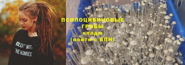соль ск Абаза